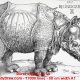 [RENDER] Durer – Rhinocerus – 17 000 lines – A1