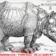 (English) [RENDER] Durer – Rhinocerus – 17 000 lines – A1