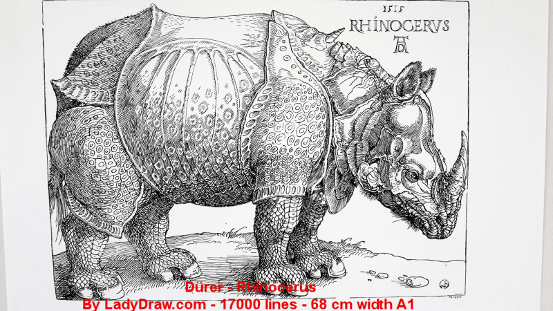 rhino-0